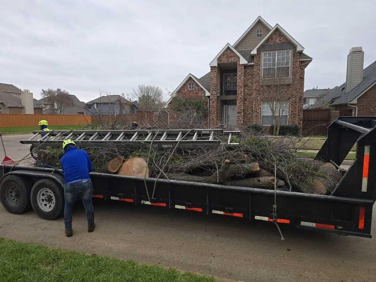 Expert Tree Removal with proper safety equipment in Chrisney